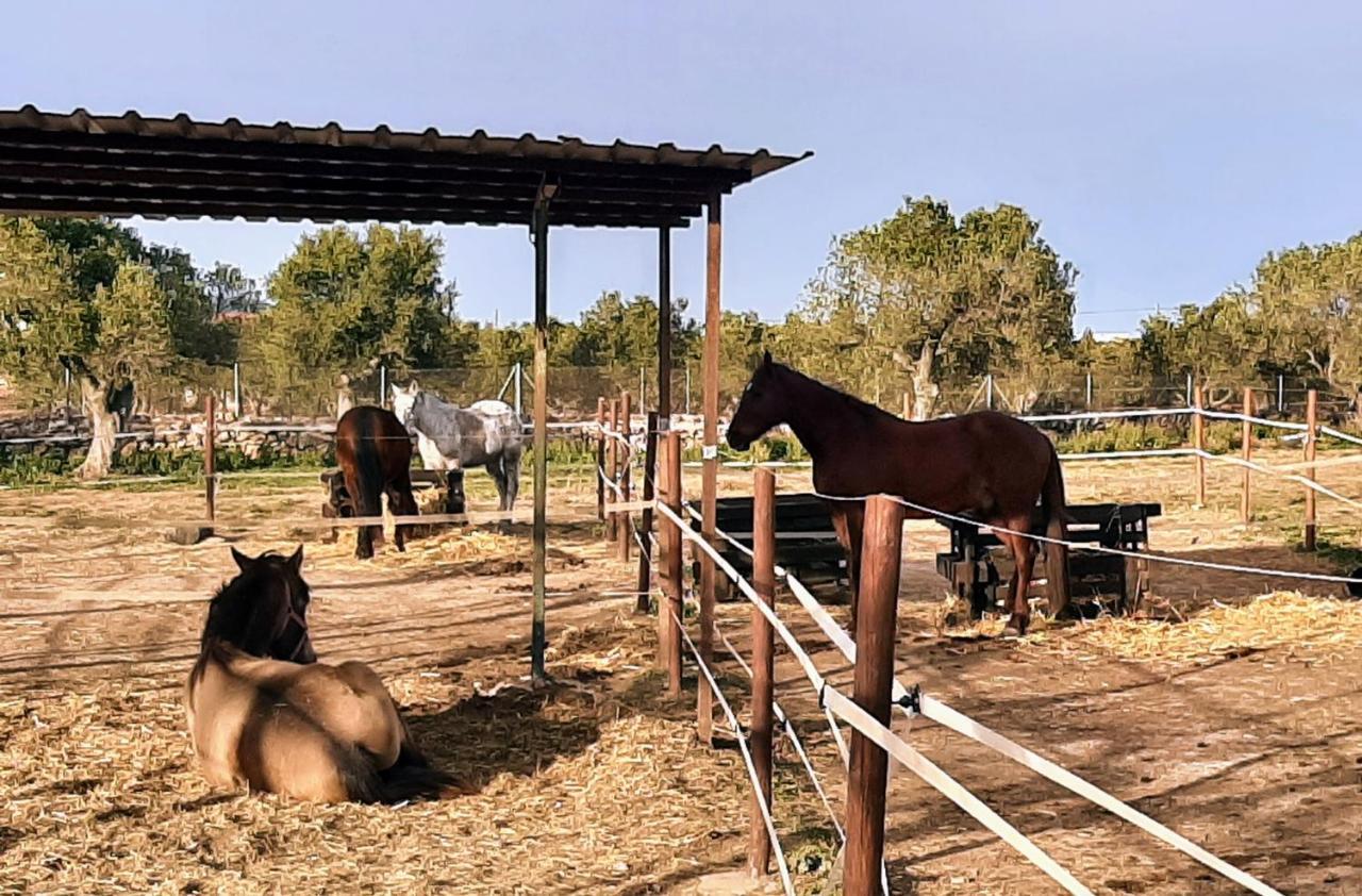 Chalet Vacacional Con Piscina Privada Y Barbacoa Tarragona Eksteriør billede